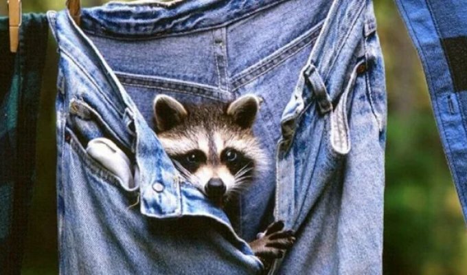 Good news from the experts: You don't need to wash your jeans! (5 photos)