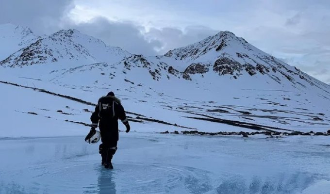 The Arctic is turning green due to climate change (7 photos + 1 video)