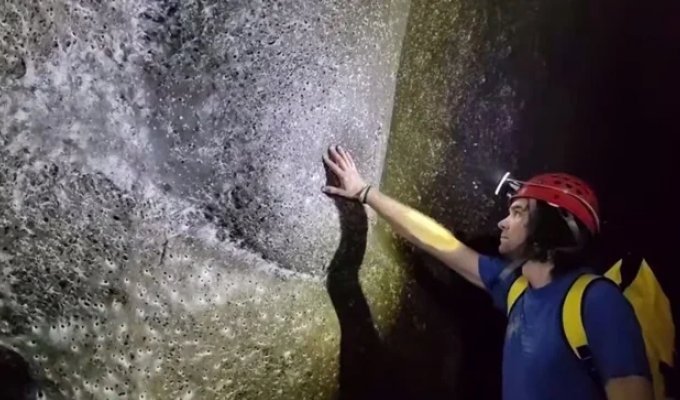 A Giant "Spider City" Found in a Cave (4 photos + 1 video)