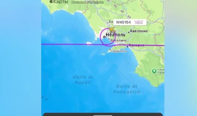 What Thousands of Fireworks from an Airplane Look Like (1 photo + video)