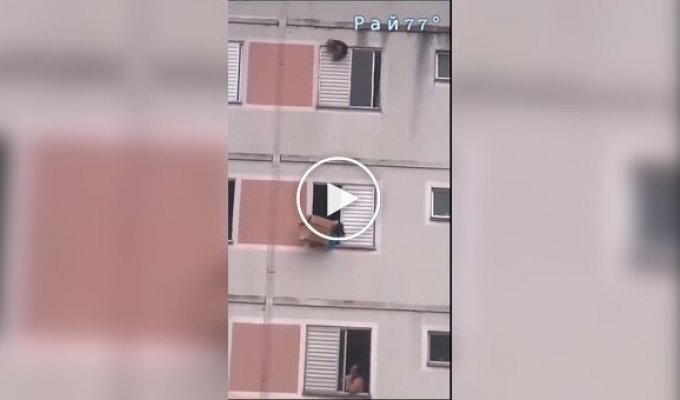 Dramatic rescue of a dog in Brazil.