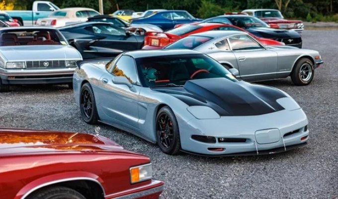An American spent decades acquiring car after car, eventually amassing a diverse collection of approximately 1,300 (43 photos)