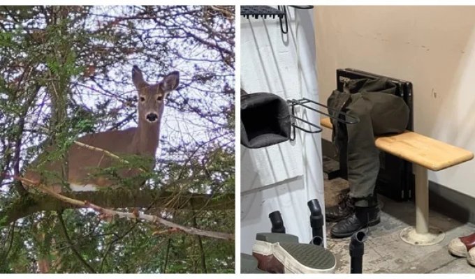 20 Examples of Ordinary Reality Transforming into Illusion (21 photos)