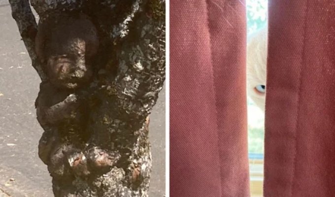 17 photos that will leave you speechless (17 photos)