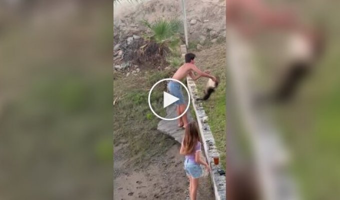 Catfish Self-Defense