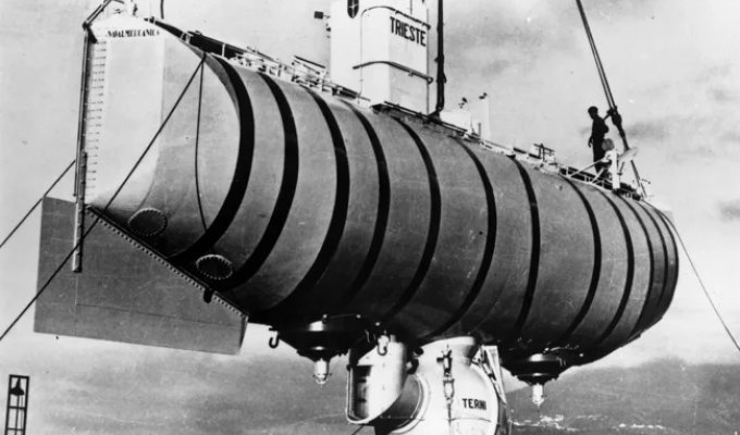 Самый глубоководный многоклеточный организм на Земле (3 фото)