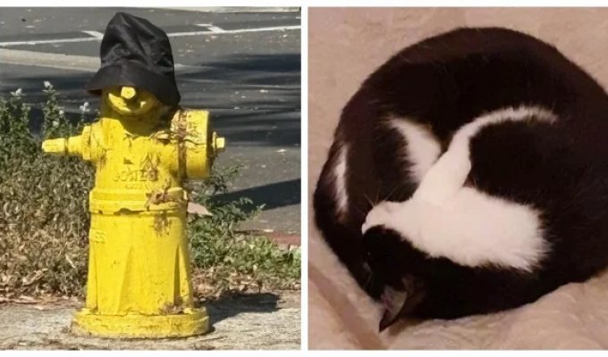 17 Examples of How Our Brain Brings the Inanimate to Life (18 photos)