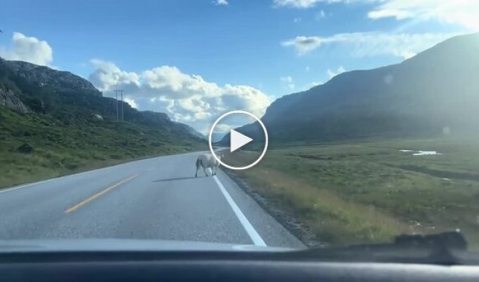 Two people met early this morning...