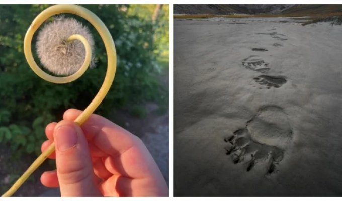 20 incredible finds that were the result of pure chance (21 photos)