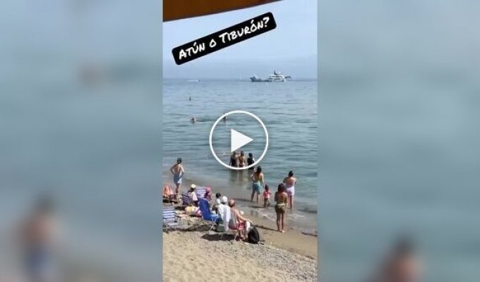 На пляжі Марбельї чоловік вирішив, що на нього напала акула