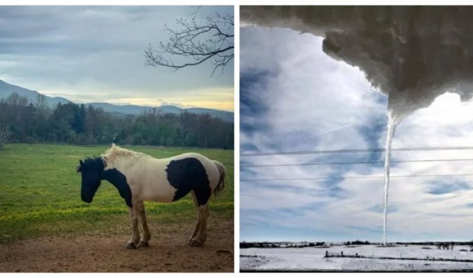 Tricks of perception: 20 photos that will leave you speechless (21 photos)