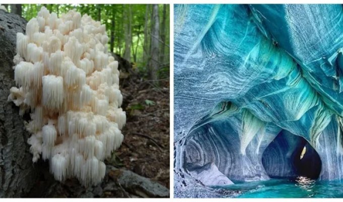 20 фотографий, которые вернут вам веру в чудо (21 фото)