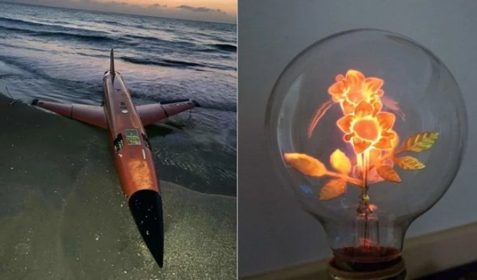 30 Rare Finds People Stumbled Upon and Were Completely Thrilled By (32 Photos)
