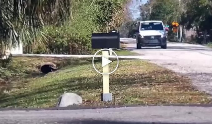 Guys played a prank on a postman