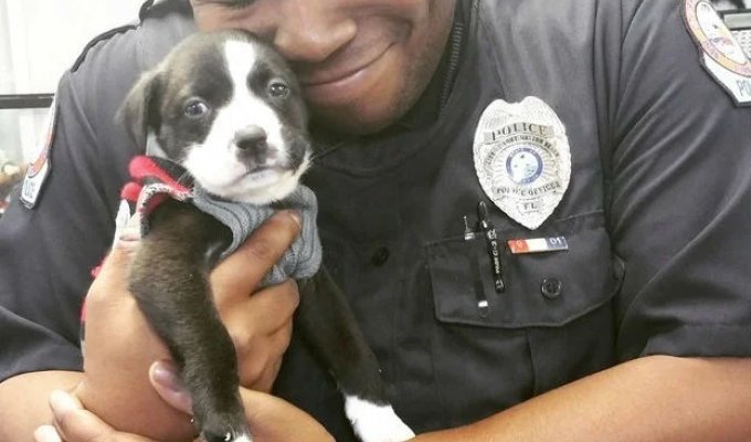 15 Photos That Will Make Your A Little Better Day (16 photos)