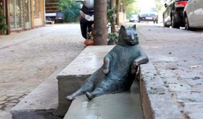 Tombili, the Istanbul cat immortalized in a statue for his laid-back pose (7 photos)