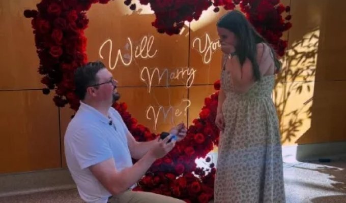 A touching story from Minnesota (4 photos)