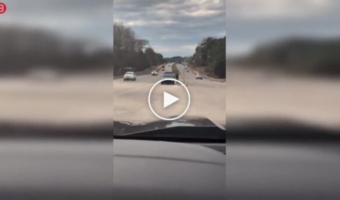 Погоня с применением шипов привела к повреждению линии электропередач