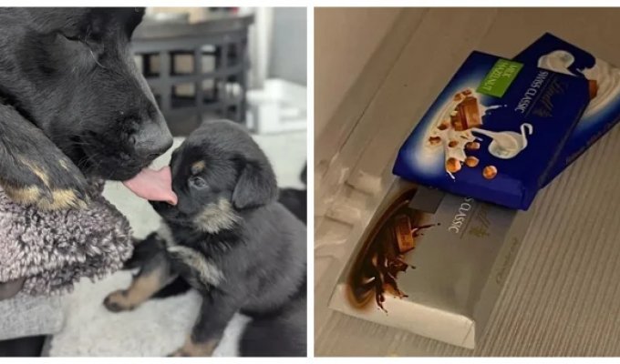 25 Photos Where Reality Jokes and Even Taunts Us a Little (26 photos)