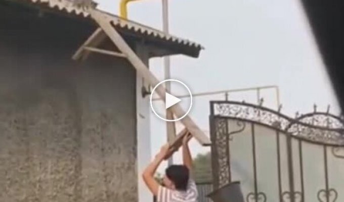 Rescuing a kitten from a roof