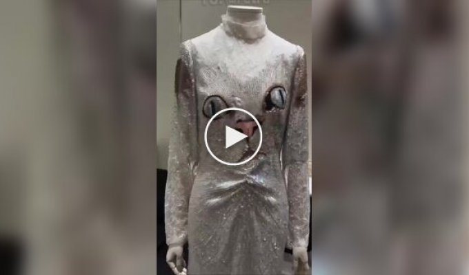 Бренд Valentino представил уникальное платье с котом