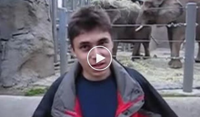 24 апреля - день, с которого начался YouTube: первый ролик, загруженный на платформу