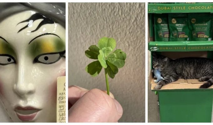 22 Unusual Everyday Oddities That Can't Be Explained with Logic (23 photos)