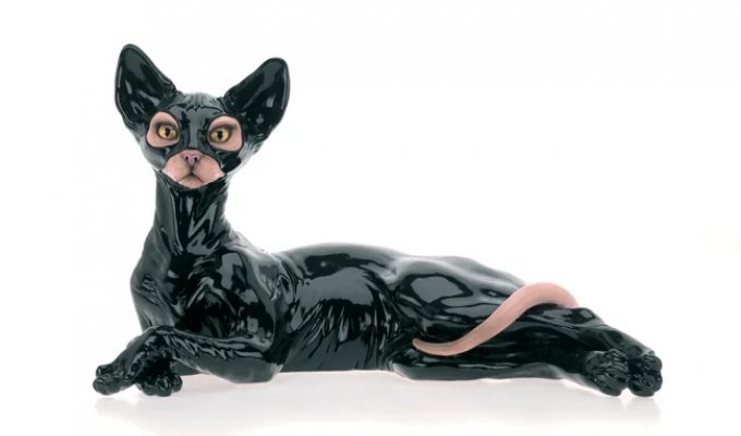 6 Animals Whose Sex Lives Will Feel Surprisingly Familiar (7 photos)