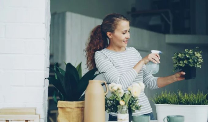 Когда интерьер готов, но в нём не хватает жизни