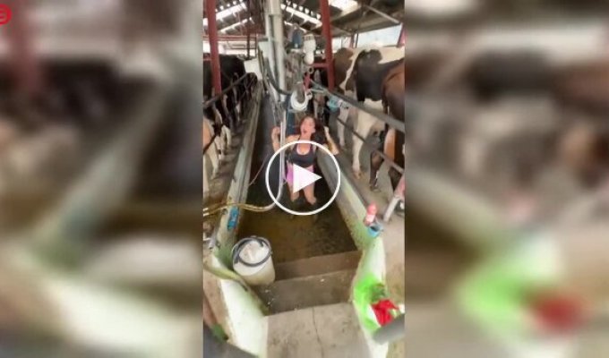 The unvarnished everyday life of a farmer: his first experience on a farm