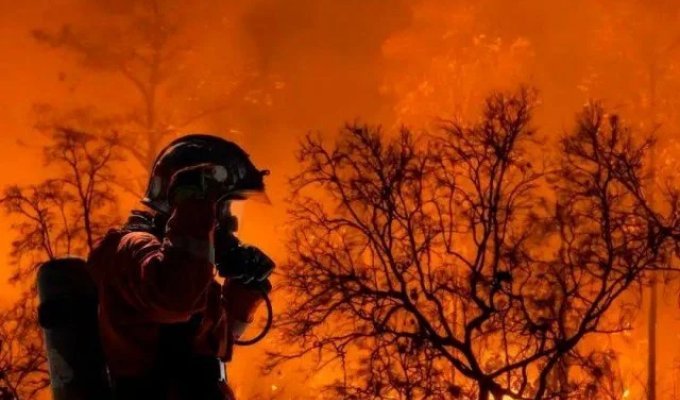 Fires are smoldering everywhere: California is on fire (2 photos + 3 videos)