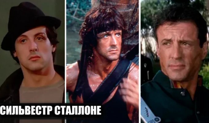 Sylvester Stallone's Successes and Failures: Films That Changed the Actor's Career (22 photos)