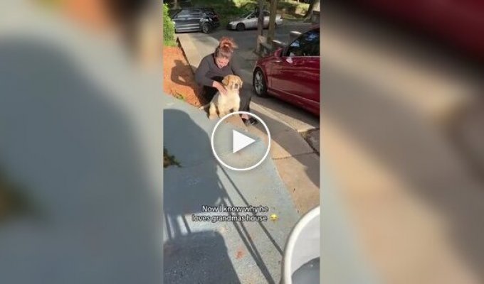 Puppy loves to visit grandma
