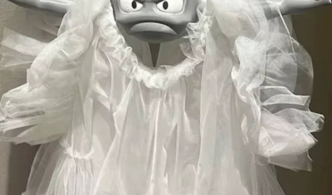 Pokemon Hanger (7 photos)