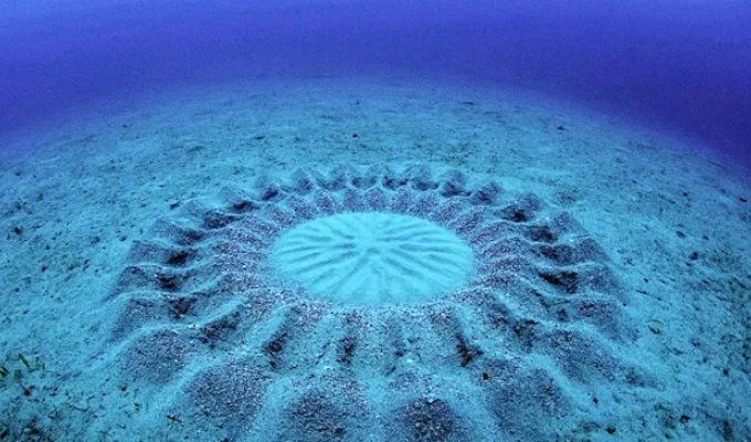 Mysterious structures not created by man have been discovered at the bottom of the Pacific Ocean (5 photos)