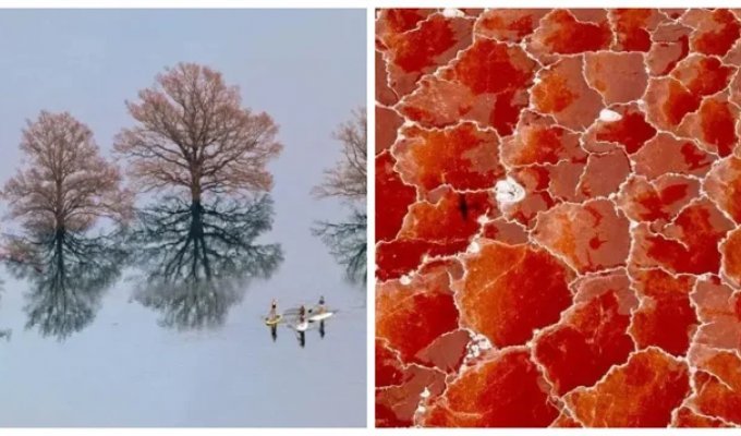 30 Breathtaking Photos That Prove Life Is Beautiful and Full of Wonder (31 Photos)