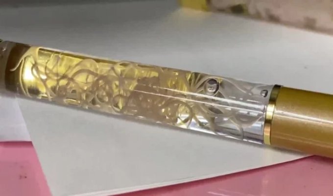 У Японії продають ручки із живими паразитами (2 фото + 1 відео)