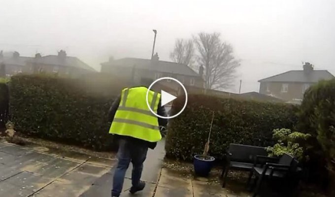 Кур'єр вкрав кішку клієнта і потрапив на відео