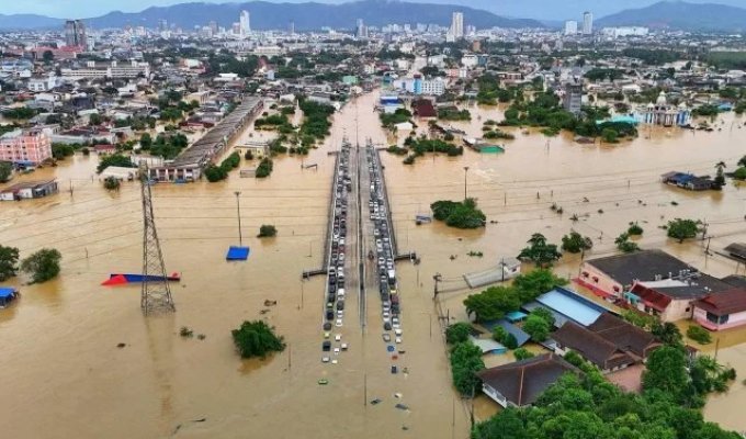 Thailand is so flooded that people are forced to climb Power lines (photos + 2 videos)