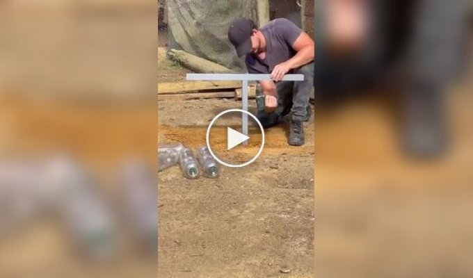 Кормушки для птиц из бутылок