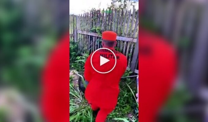 В Бразилии пожарные поймали во дворе дома анаконду
