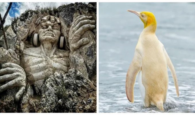 20 снимков, которые помогут ощутить простую магию нашего мира (21 фото)