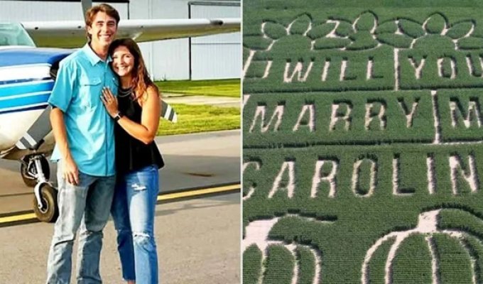 Guy grows corn maze to propose to his beloved (7 photos)