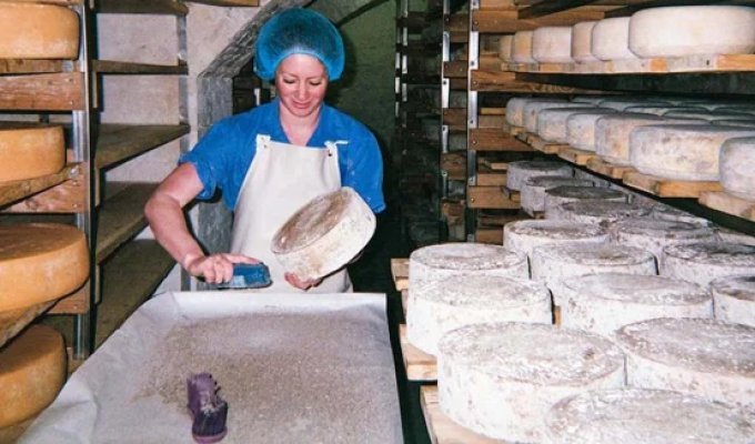 Сирна нора: один день із життя бруклінського сировара (36 фото)