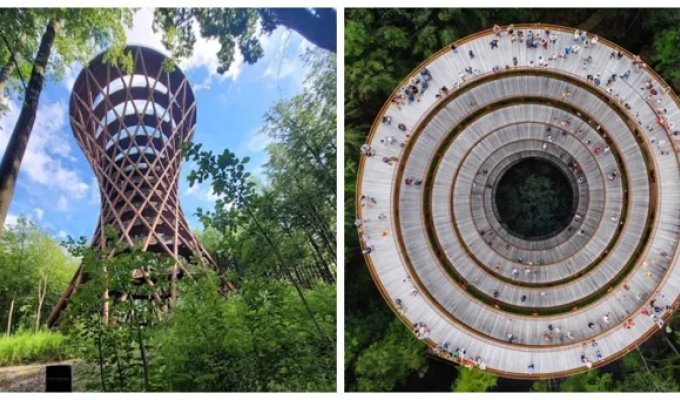 Датская лесная башня в форме песочных часов, парящих над деревьями (13 фото + 1 видео)