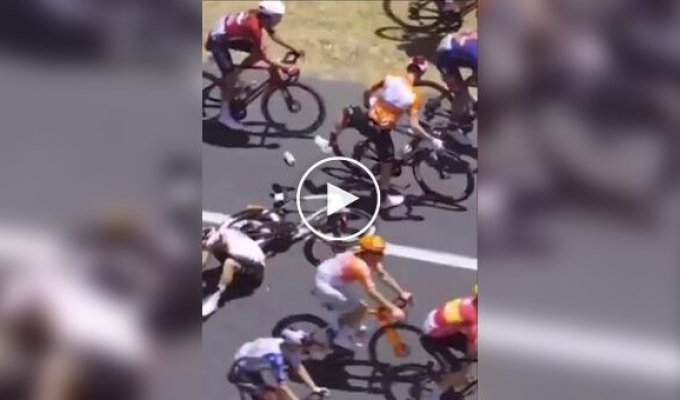 Велогонщик переміг у заїзді, врізавшись перед цим у кенгуру