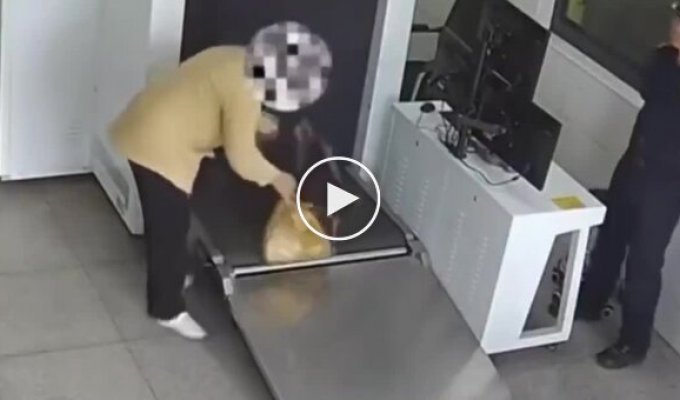 В Китае женщина пыталась провезти 1 кг живых бамбуковых червей