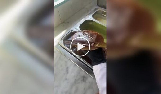 Culinary nightmare