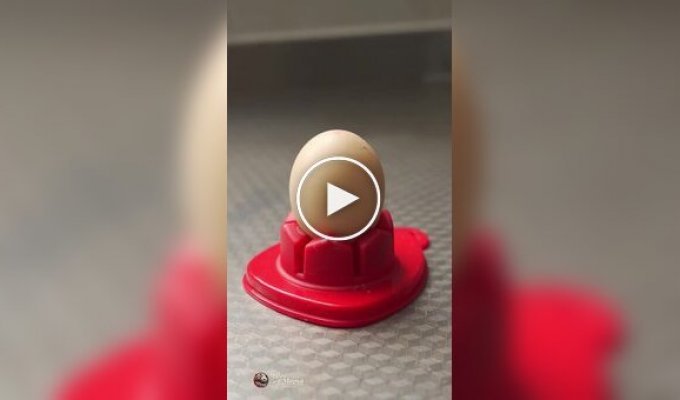 Высокая кухня от китайского кулинара