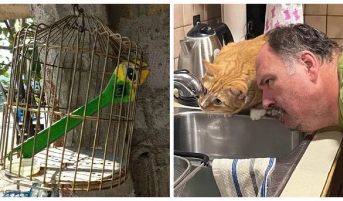 28 фотодоказів того, що всесвіт має чудове почуття гумору (29 фото)